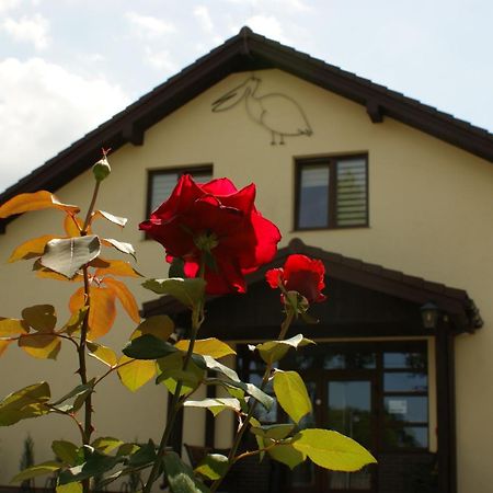 Pelikan Aleksandrow Lodzki Exterior photo